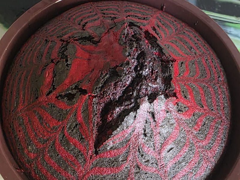 Cliquez pour zoomer ! Gâteau zébré Thermomix par Syssy44