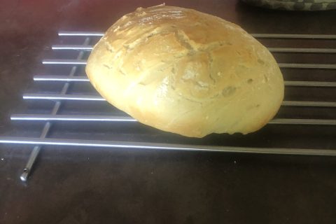 Cliquez pour zoomer ! Photo de gauvin63 Thermomix par gauvin63