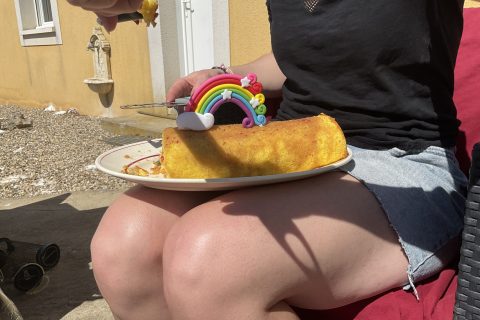 Cliquez pour zoomer ! Fraisier roulé Thermomix par Manon