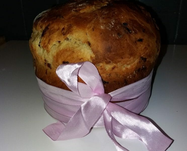Cliquez pour zoomer ! Panettone Thermomix par lulu