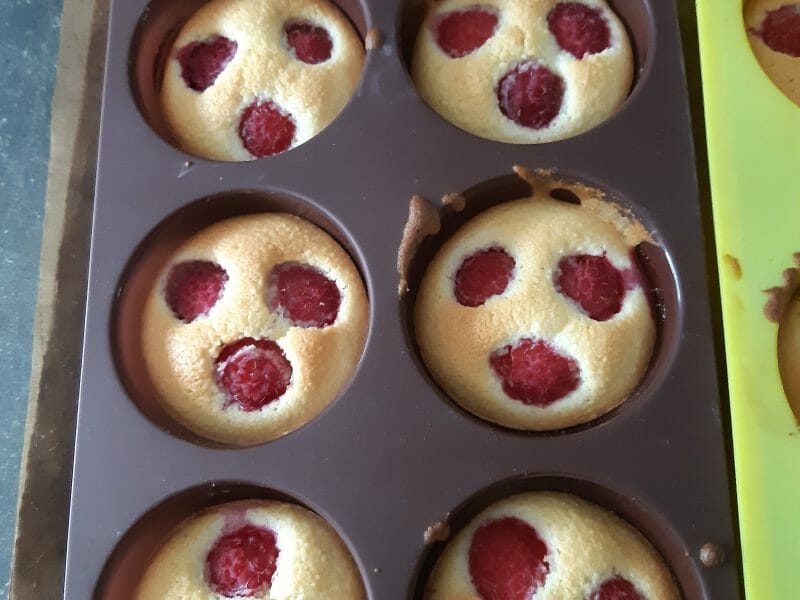 Cliquez pour zoomer ! Visitandines aux framboises Thermomix par Cali31