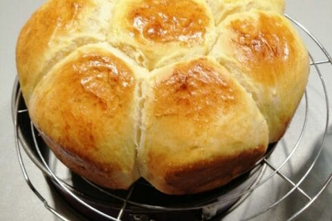 Photos des recettes