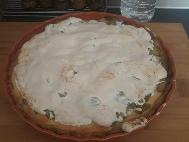 Cliquez pour zoomer ! Tarte à la rhubarbe Thermomix par Marine68680