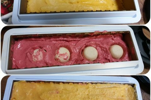 Cliquez pour zoomer ! Bûche glacée mangue et framboise au Thermomix