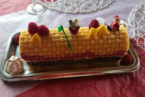 Cliquez pour zoomer ! Bûche glacée mangue et framboise au Thermomix