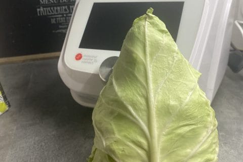 Cliquez pour zoomer ! Photo de VEROSIMO