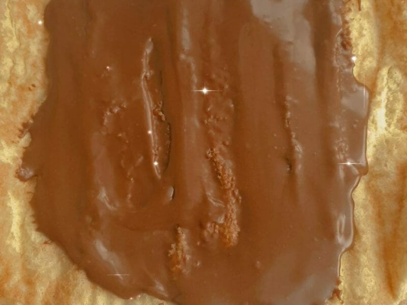 Cliquez pour zoomer ! Roulé au nutella Thermomix par Virginie_48