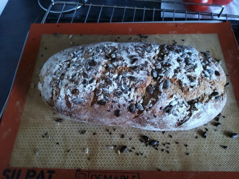 Cliquez pour zoomer ! Pavé farine multi-céréales Thermomix par ayden