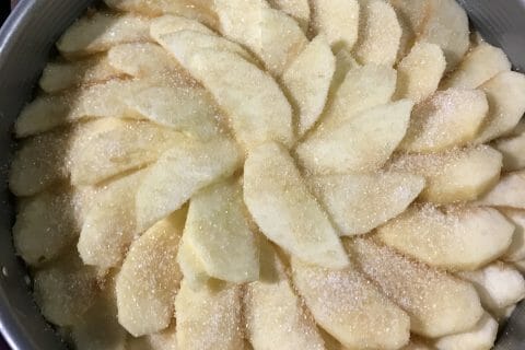 Cliquez pour zoomer ! Gâteau aux pommes et mascarpone au Thermomix