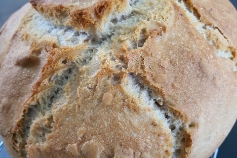 Cliquez pour zoomer ! Pain d’épeautre en cocotte Thermomix par pejinha