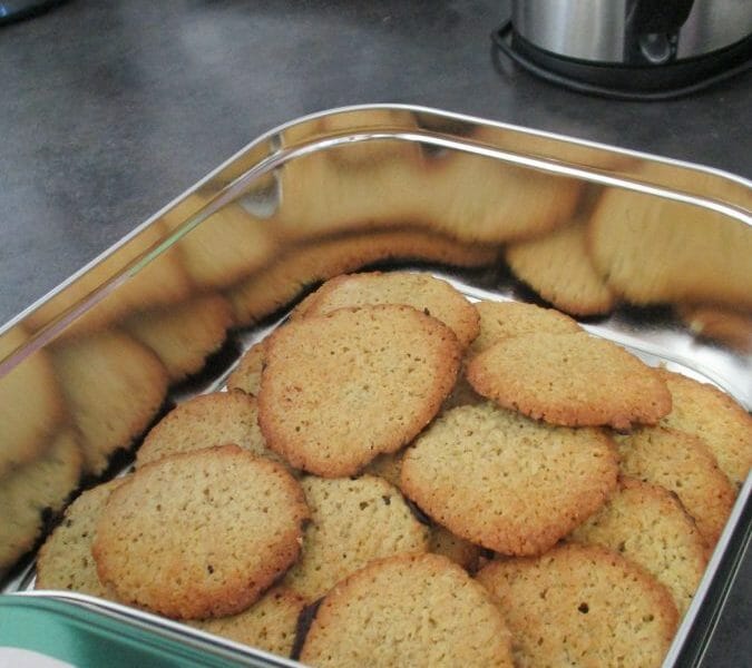 Cliquez pour zoomer ! Havreflarn (galettes de flocons d’avoine) Thermomix par Anais de boulaincourt