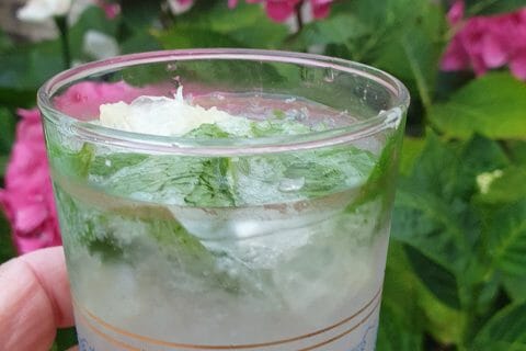 Cliquez pour zoomer ! Mojito Thermomix par GervaiseLeo