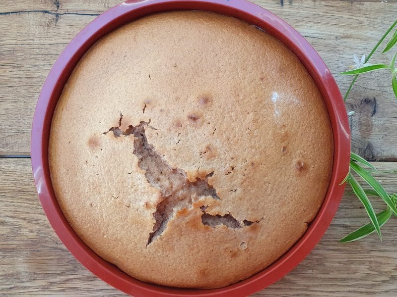 Cliquez pour zoomer ! Gâteau au yaourt Thermomix par GervaiseLeo