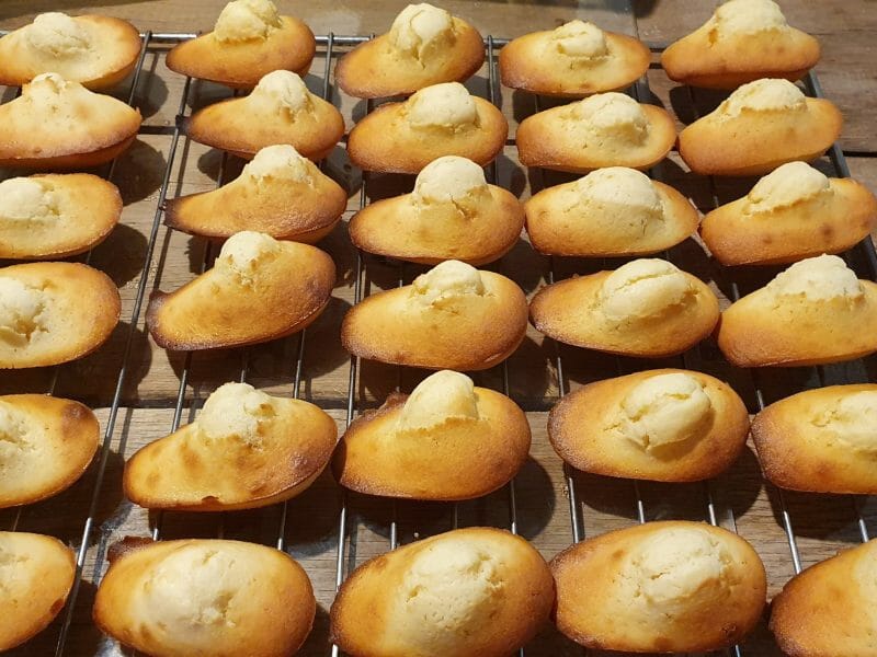 Cliquez pour zoomer ! Madeleines Thermomix par GervaiseLeo