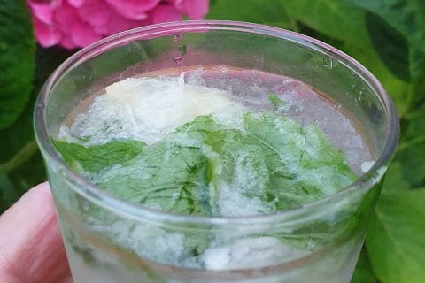 Cliquez pour zoomer ! Mojito Thermomix par GervaiseLeo