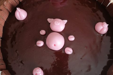 Photos des recettes
