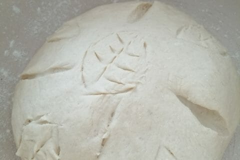 Cliquez pour zoomer ! Pain Cocotte Thermomix par Typouic