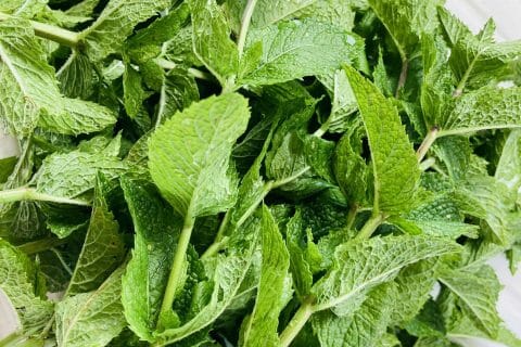 Cliquez pour zoomer ! Glace menthe chocolat Thermomix par Sophie