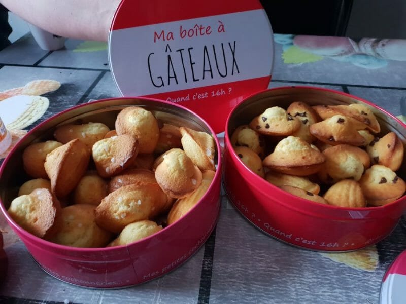 Cliquez pour zoomer ! Madeleines Thermomix par titia62290