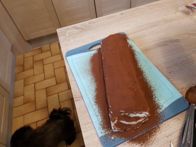 Cliquez pour zoomer ! Bûche Tiramisu Thermomix par Ludovic_5