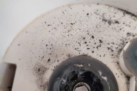 Cliquez pour zoomer ! Gaufres Liégeoises Thermomix par Alexandralaphotographe