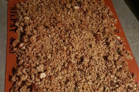 Cliquez pour zoomer ! Muesli Thermomix par Marie Eve