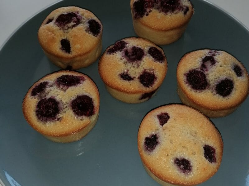 Cliquez pour zoomer ! Visitandines aux framboises Thermomix par Titia