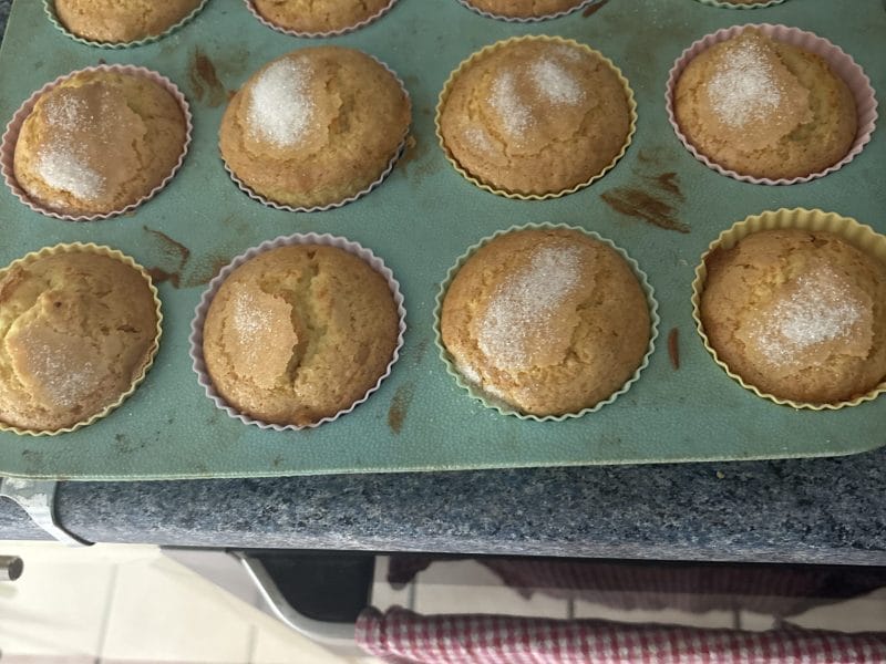 Cliquez pour zoomer ! Magdalenas – Madeleines espagnoles Thermomix par zachari27