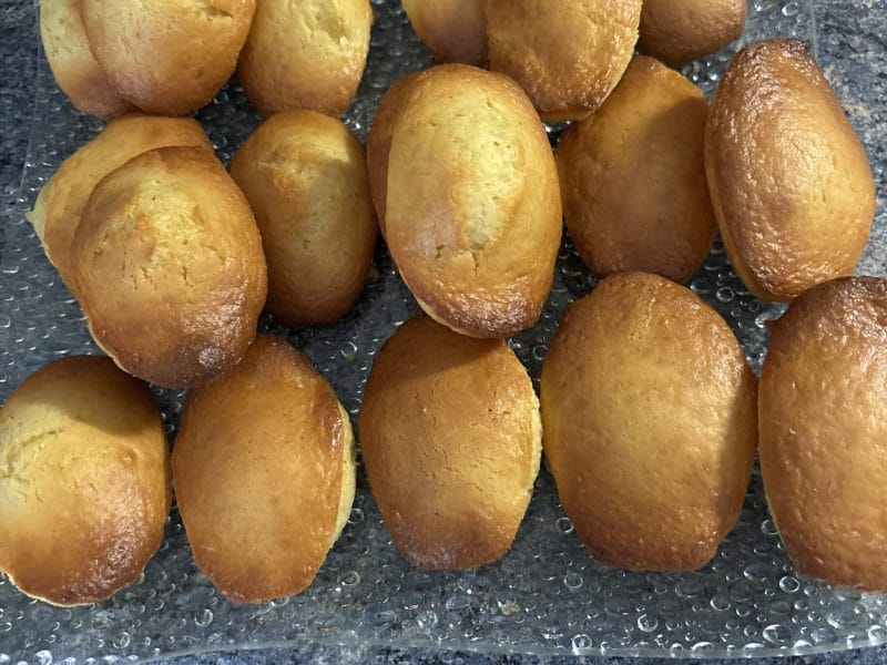 Cliquez pour zoomer ! Madeleines au yaourt Thermomix par zachari27
