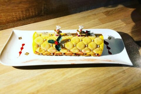 Cliquez pour zoomer ! Bûche glacée mangue et framboise Thermomix par Ludi74