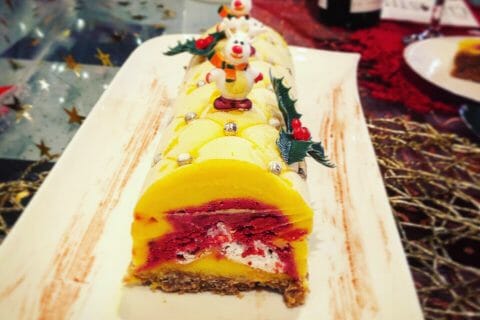 Cliquez pour zoomer ! Bûche glacée mangue et framboise Thermomix par Ludi74