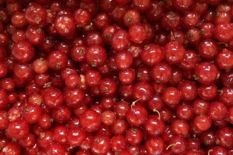 Cliquez pour zoomer ! Gelée de groseilles Thermomix par Julie-ella