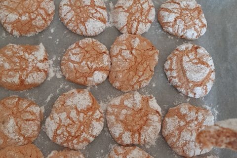 Cliquez pour zoomer ! Craquelés aux biscuits roses de Reims au Thermomix