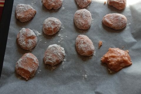 Cliquez pour zoomer ! Craquelés aux biscuits roses de Reims au Thermomix