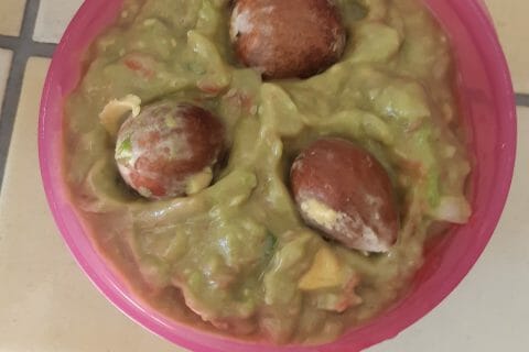 Cliquez pour zoomer ! Guacamole au Thermomix