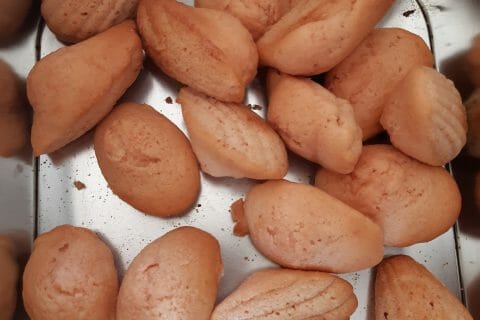 Cliquez pour zoomer ! Madeleines aux biscuits roses de Reims au Thermomix