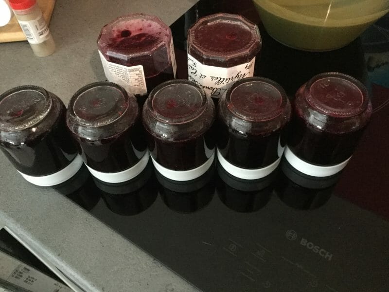 Cliquez pour zoomer ! Confiture de myrtilles Thermomix par djlilie