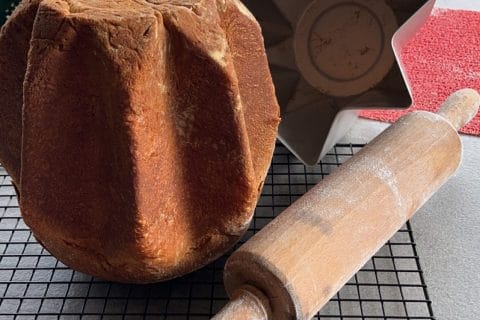 Cliquez pour zoomer ! Pandoro Thermomix par Karou
