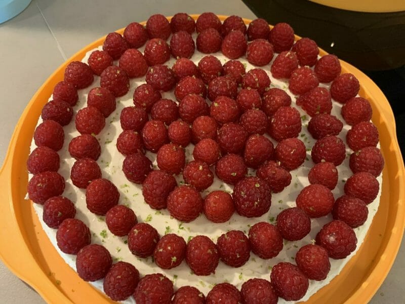 Cliquez pour zoomer ! Tarte aux fraises sans cuisson Thermomix par Marymayo
