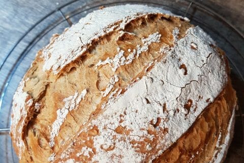 Cliquez pour zoomer ! Photo de Bapthieme3