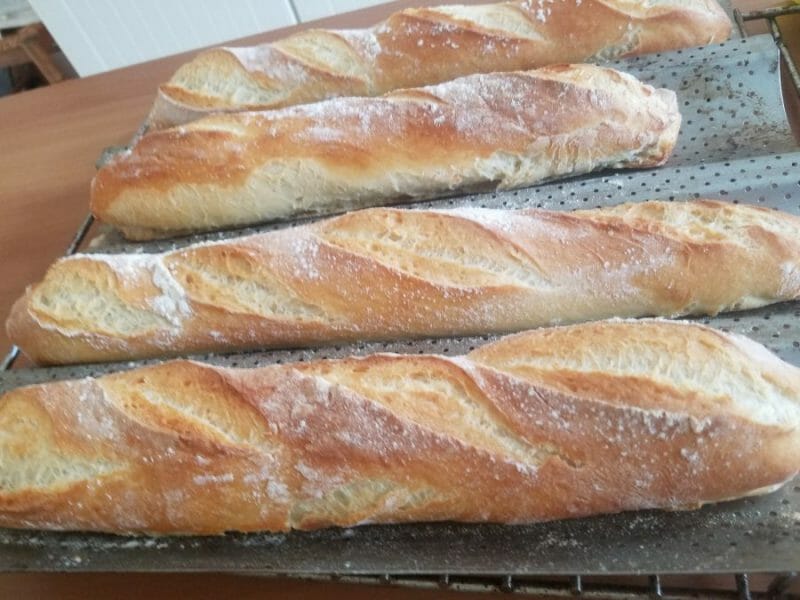 Cliquez pour zoomer ! Baguettes Thermomix par LN