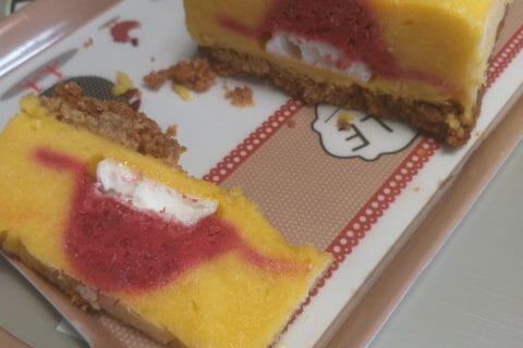 Cliquez pour zoomer ! Bûche glacée mangue et framboise Thermomix par Christele14
