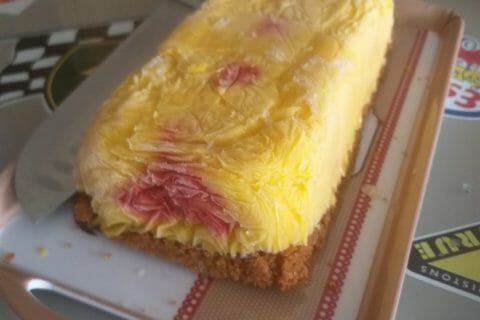 Cliquez pour zoomer ! Bûche glacée mangue et framboise Thermomix par Christele14