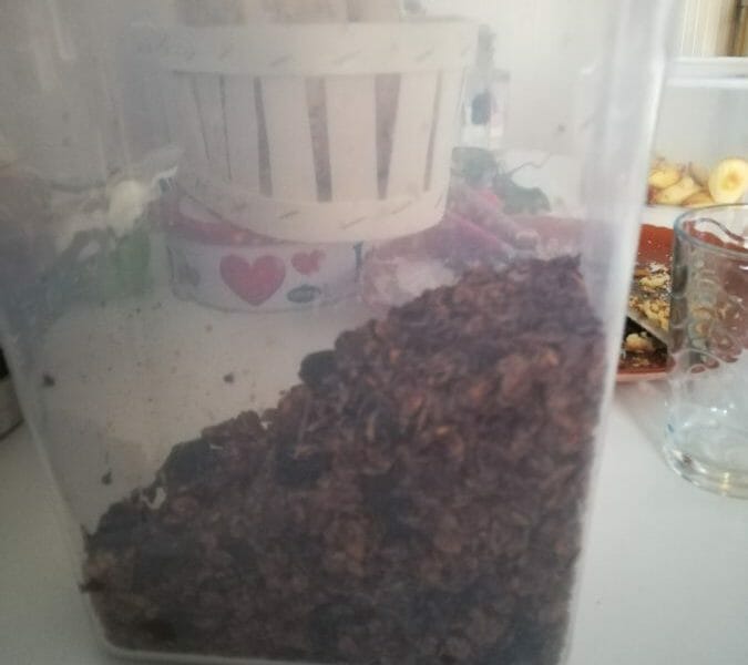 Cliquez pour zoomer ! Granola au chocolat Thermomix par Elise_11