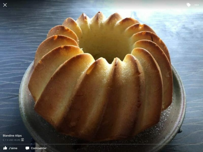 Gateau Mollet Ardennais Au Thermomix Cookomix