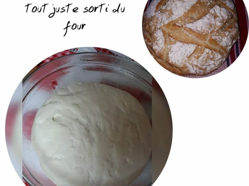 Cliquez pour zoomer ! Pain Cocotte Thermomix par Francine_2