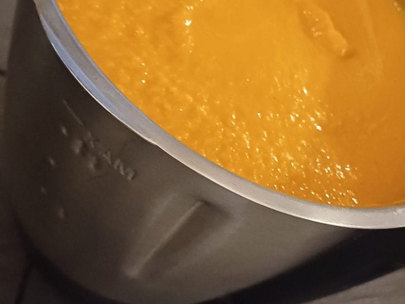 Cliquez pour zoomer ! Velouté de carottes au curry Thermomix par sjulien