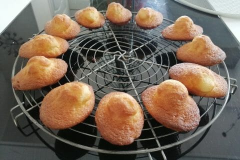 Cliquez pour zoomer ! Madeleines au yaourt Thermomix par floromaxisa