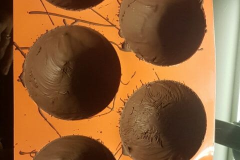 Cliquez pour zoomer ! Photo de Nikai