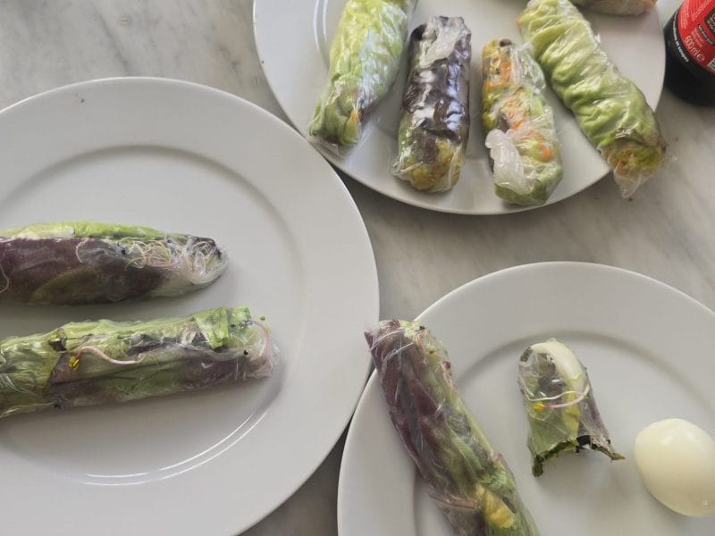 Cliquez pour zoomer ! Rouleaux de printemps Thermomix par Janna66